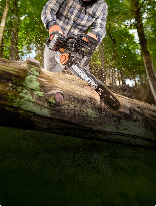 Chainsaws & Pruners