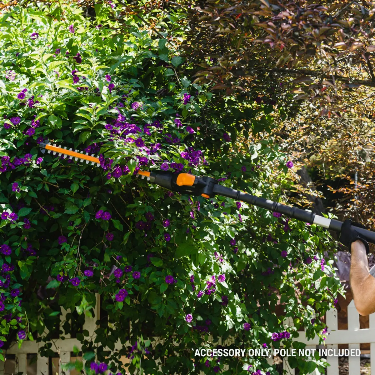 20" Hedge Trimmer Head Attachment 6