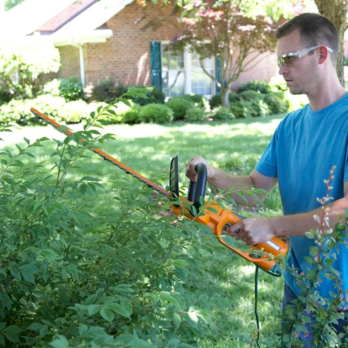 3.8 Amp Electric 20" Hedge Trimmer (Discontinued) 3
