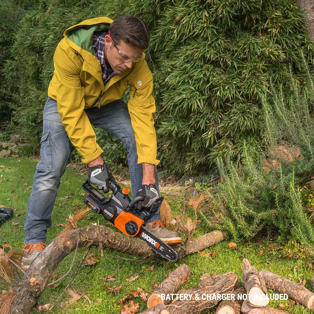 20V 10'' chainsaw 2