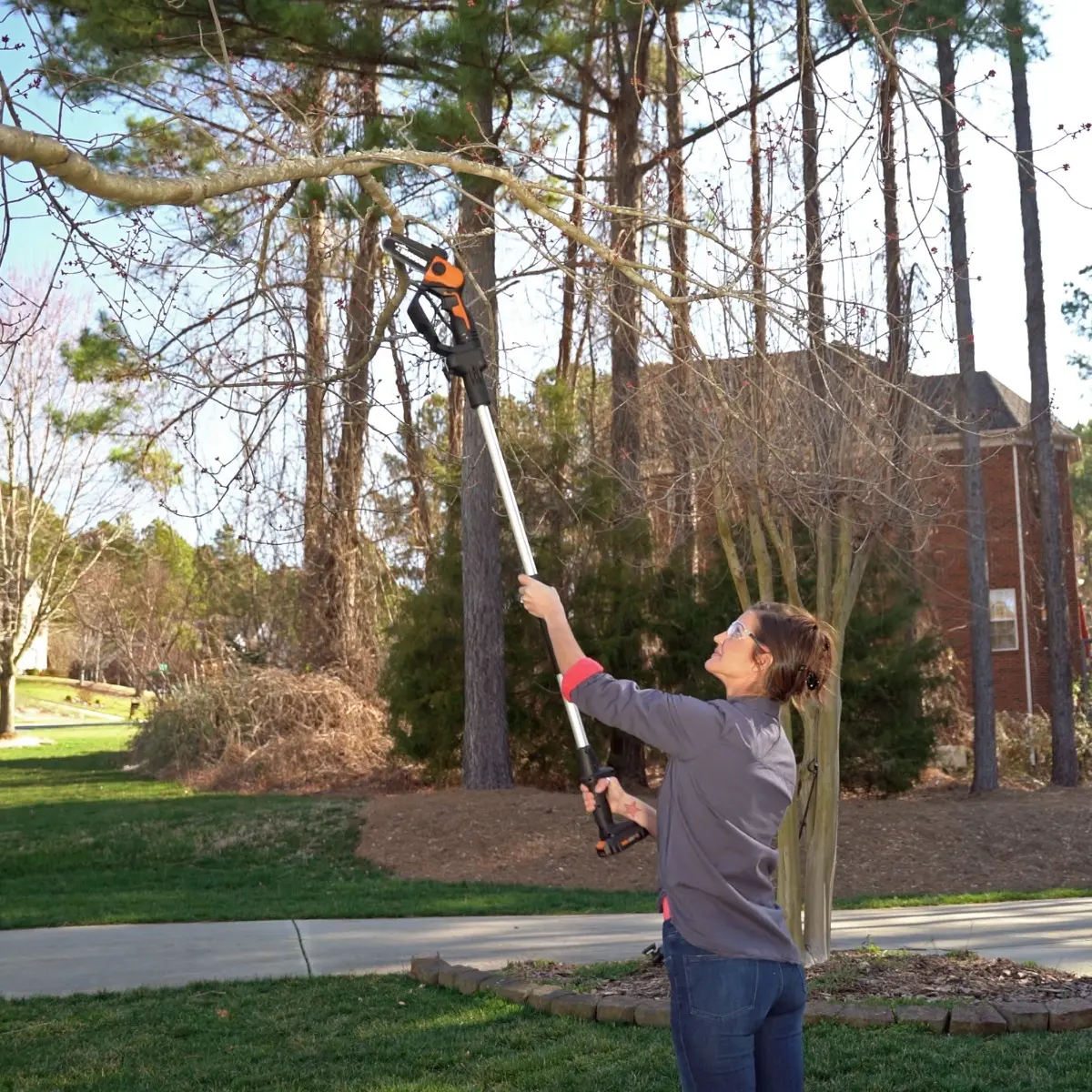 20V 5'' pruning saw 2