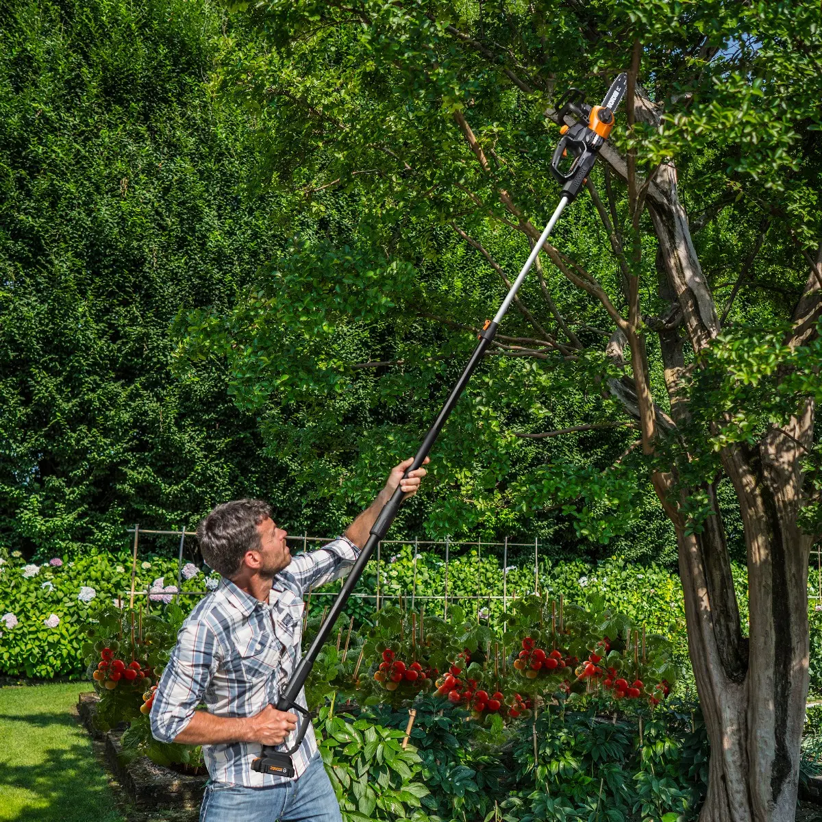 20V Power Share Cordless Chainsaw Pole Extension 4