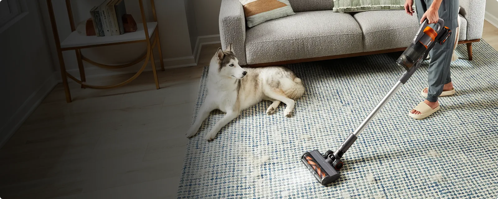 20V 25 kPa stick vacuum cleaner feature 1