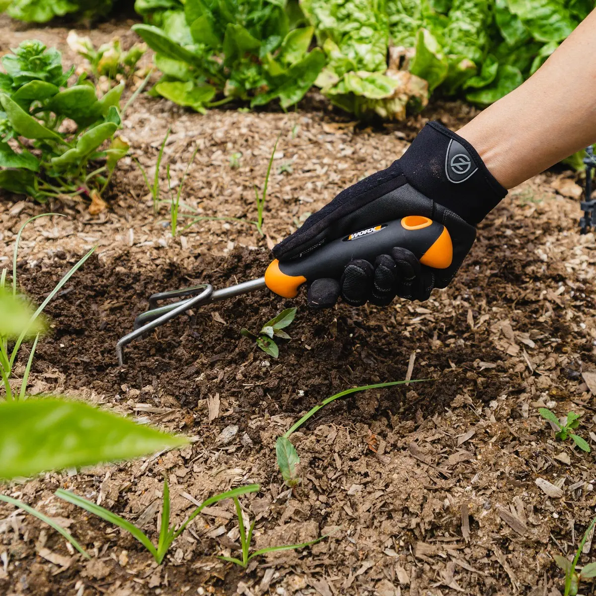 3-tine hand garden cultivator 5
