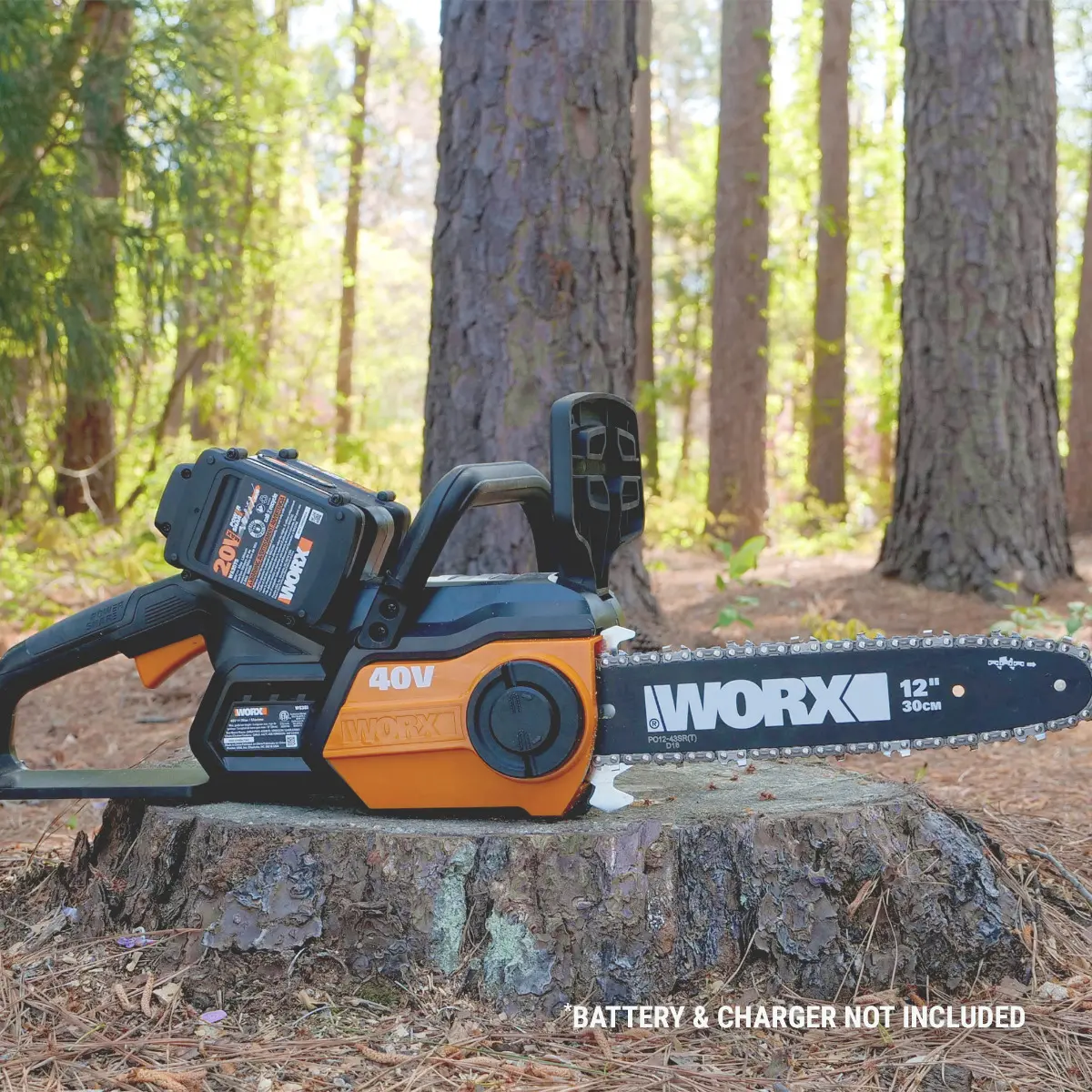 40V 12'' chainsaw 2