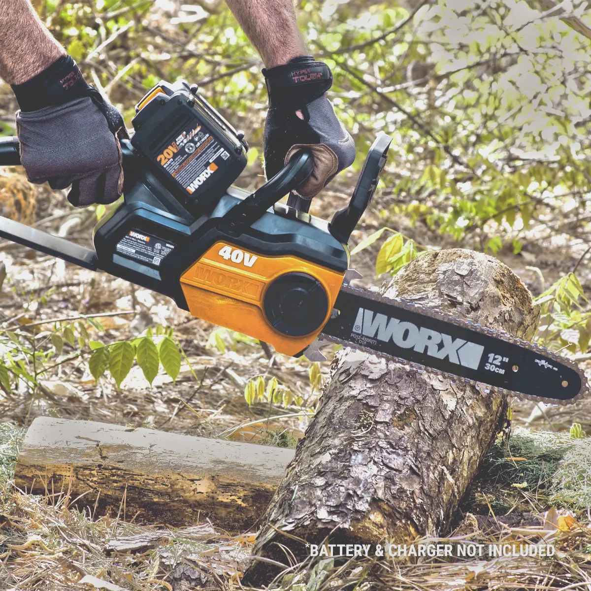 40V 12'' chainsaw 3