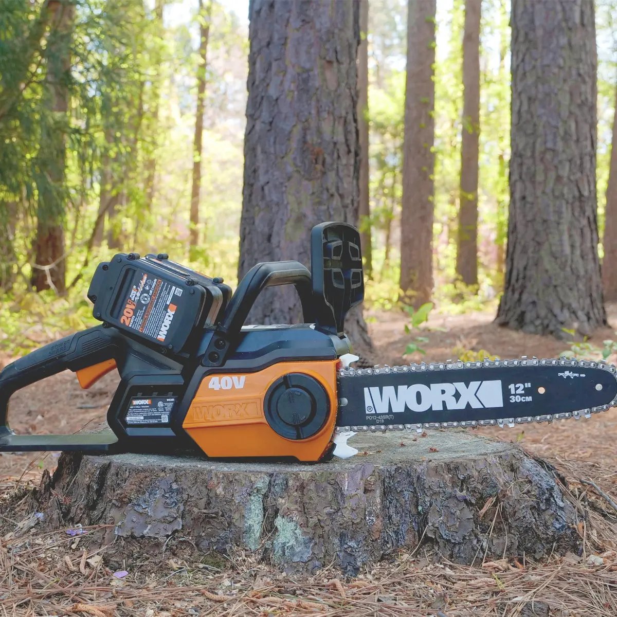 40V 12'' chainsaw 2