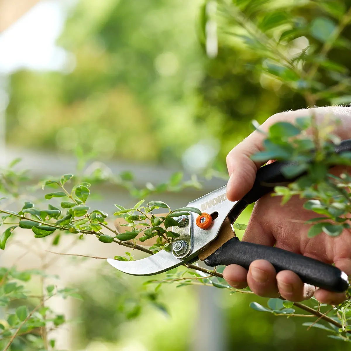 5/8" bypass pruner 4