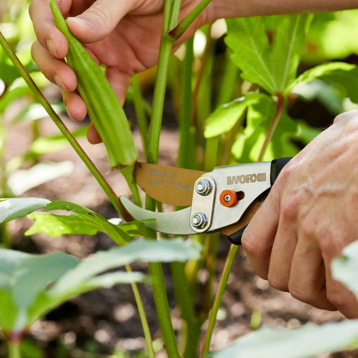 5/8" bypass pruner 5