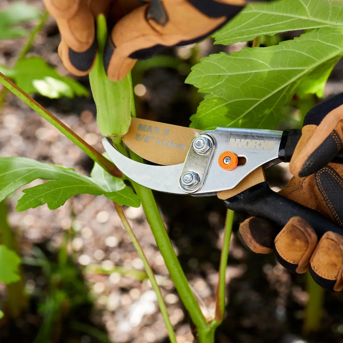 5/8" bypass pruner 6