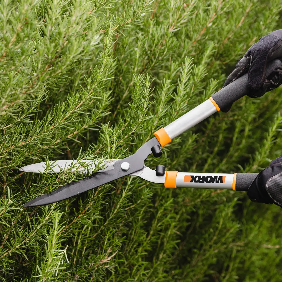 9" hedge shears 5