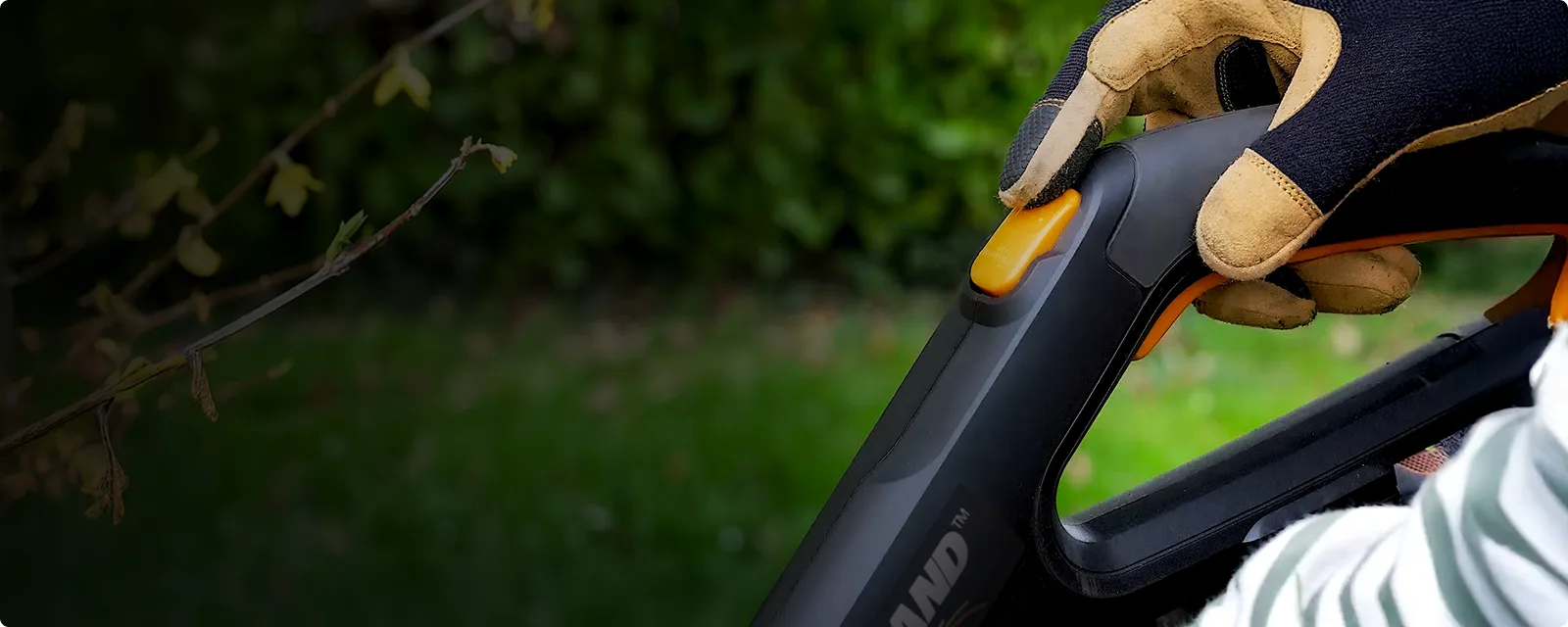20V Power Share GT Revolution 12