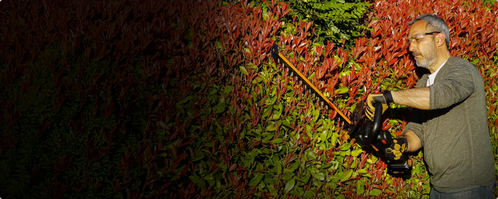 20V 22'' brushless hedge trimmer - Tool Only feature 1