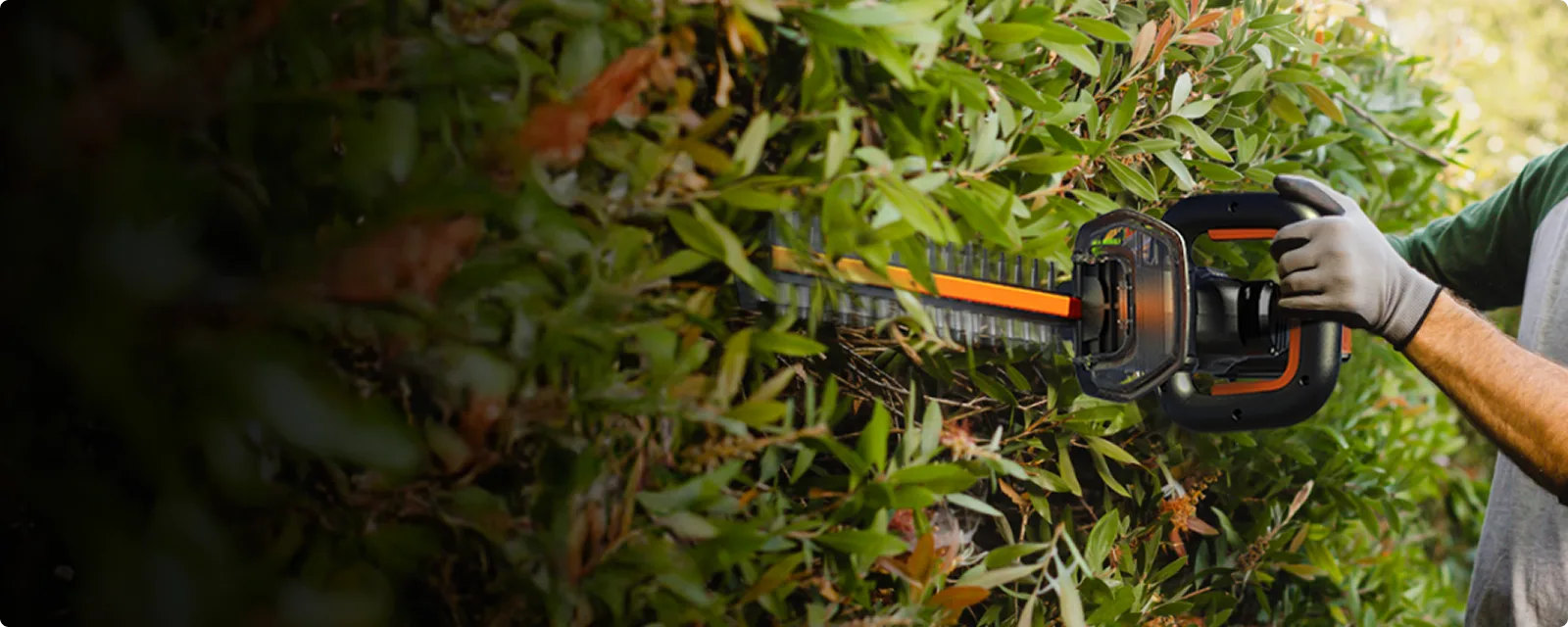 20V 22'' brushless hedge trimmer - Tool Only feature 2