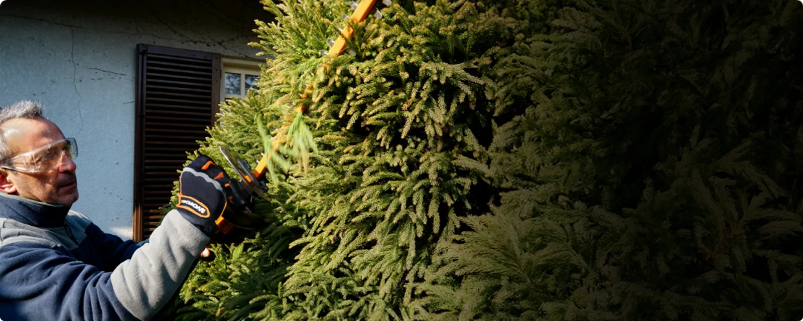 20V 22'' brushless hedge trimmer - Tool Only feature 3