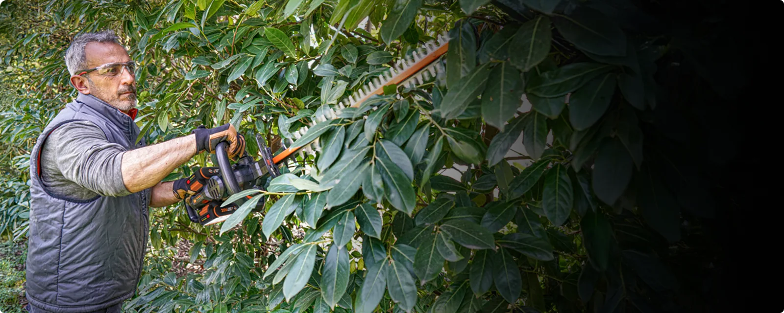 40V 24'' brushless hedge trimmer feature 1