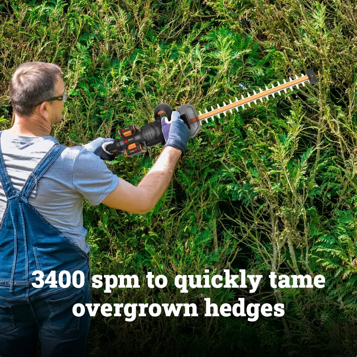 40V 24'' brushless hedge trimmer 3